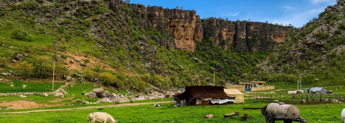 IMG_20251128_170825_613