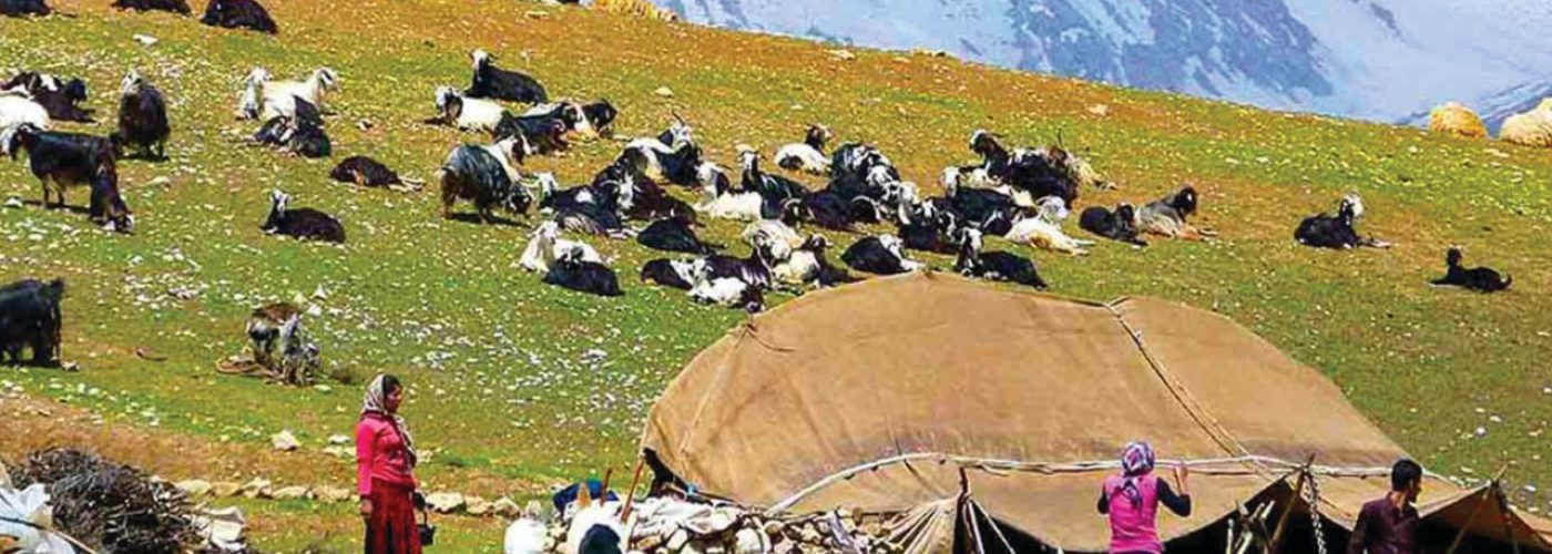 IMG_20251128_202653_948