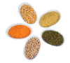 pulses-4760710_1920-removebg-preview